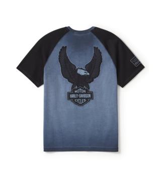 Harley-Davidson shirt