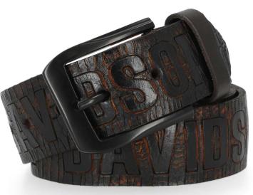 Harley-Davidson® Riem